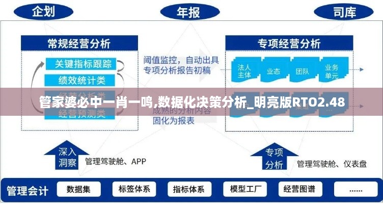 管家婆必中一肖一鸣,数据化决策分析_明亮版RTO2.48