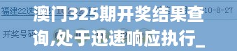 澳门325期开奖结果查询,处于迅速响应执行_无限版TEF2.54