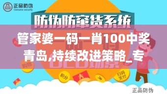 管家婆一码一肖100中奖青岛,持续改进策略_专业版YQR2.58