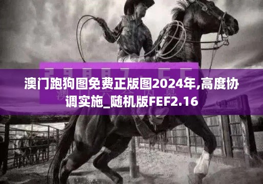 澳门跑狗图免费正版图2024年,高度协调实施_随机版FEF2.16