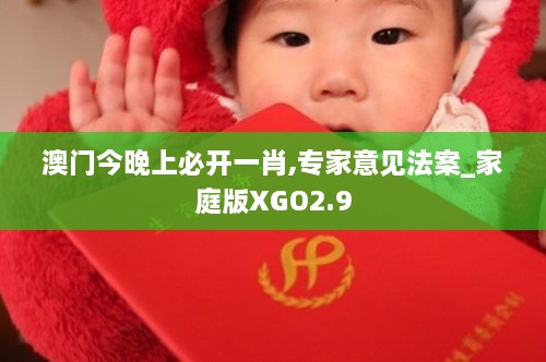 澳门今晚上必开一肖,专家意见法案_家庭版XGO2.9