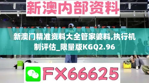 新澳门精准资料大全管家婆料,执行机制评估_限量版KGQ2.96