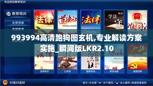 993994高清跑狗图玄机,专业解读方案实施_瞬间版LKR2.10