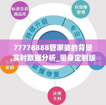 77778888管家婆的背景,实时数据分析_量身定制版XHY2.41