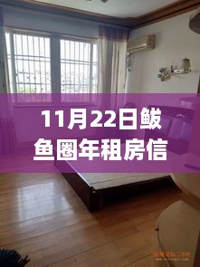 11月22日鲅鱼圈年租房信息热门，全面评测与详细介绍