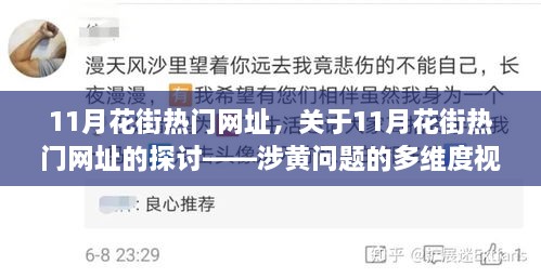 涉黄问题的多维度视角分析，揭秘11月花街热门网址探讨背后的真相