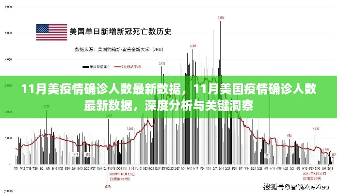 美国疫情最新数据深度分析与洞察，11月确诊人数激增趋势分析