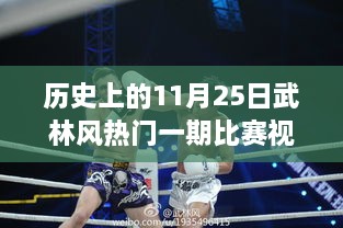 武林风传奇，热血较量与家的温馨瞬间——历史上的武林风热门一期比赛回顾