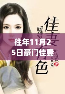 豪门佳妻慕雪，历年11月25日热门章节深度解析与回顾