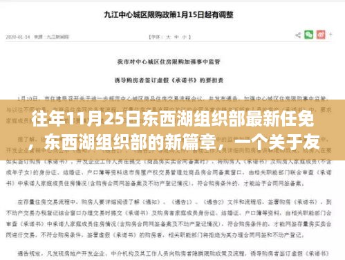 东西湖组织部新任命的温馨篇章，友情、家庭与成长的交织故事