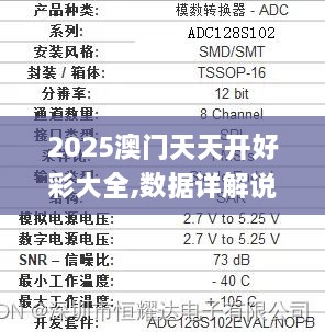 2025澳门天天开好彩大全,数据详解说明_精英版YTX9.67