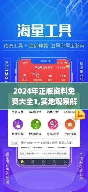 2024年正版资料免费大全1,实地观察解释定义_职业版XWA9.37