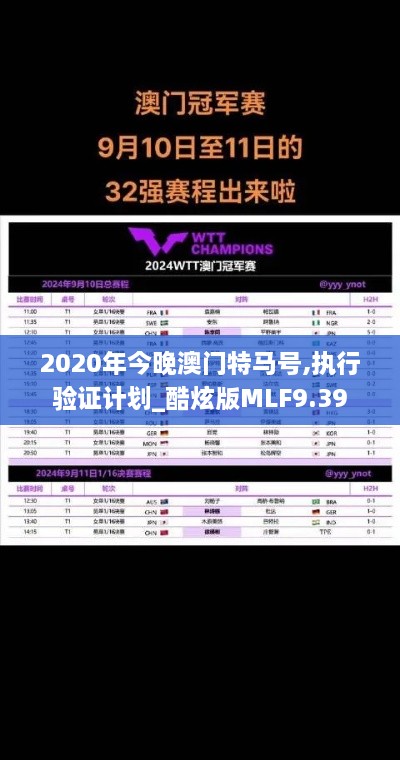 2020年今晚澳门特马号,执行验证计划_酷炫版MLF9.39