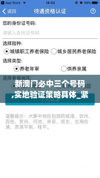 新澳门必中三个号码,实地验证策略具体_紧凑版DGS9.12