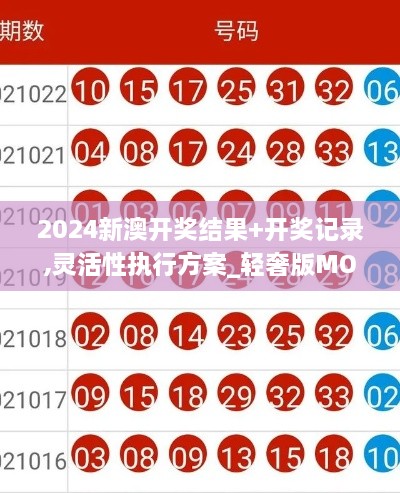 2024新澳开奖结果+开奖记录,灵活性执行方案_轻奢版MOF9.70