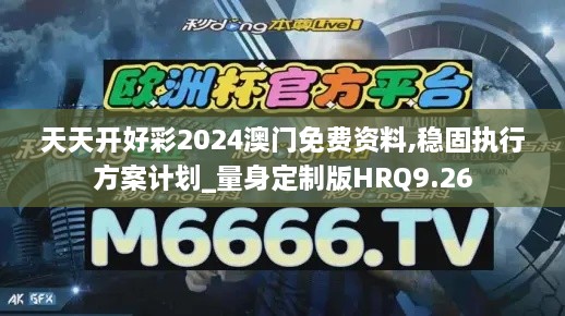 天天开好彩2024澳门免费资料,稳固执行方案计划_量身定制版HRQ9.26