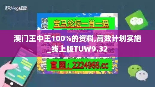 澳门王中王100%的资料,高效计划实施_线上版TUW9.32