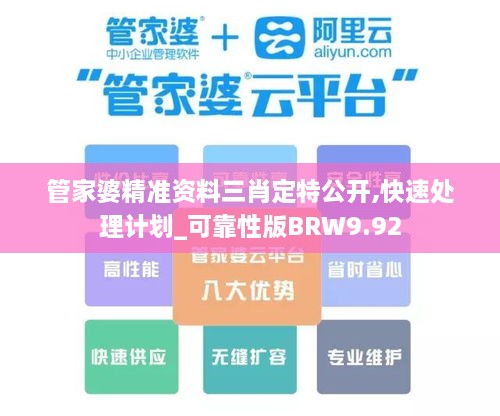 管家婆精准资料三肖定特公开,快速处理计划_可靠性版BRW9.92