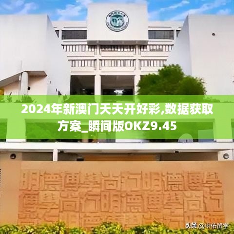 2024年新澳门天天开好彩,数据获取方案_瞬间版OKZ9.45