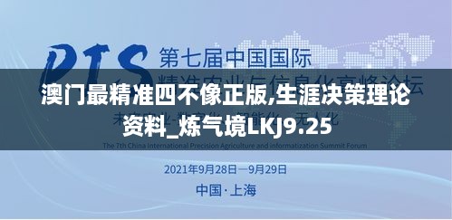 澳门最精准四不像正版,生涯决策理论资料_炼气境LKJ9.25