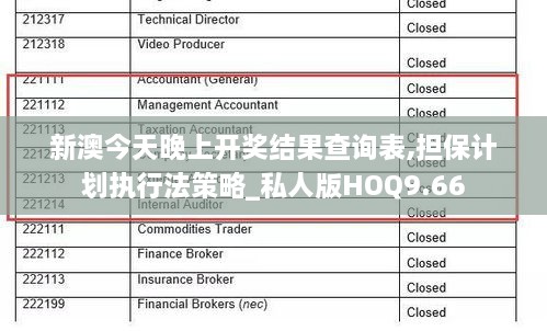 新澳今天晚上开奖结果查询表,担保计划执行法策略_私人版HOQ9.66