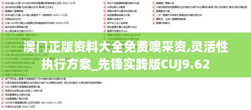 澳门正版资料大全免费噢采资,灵活性执行方案_先锋实践版CUJ9.62