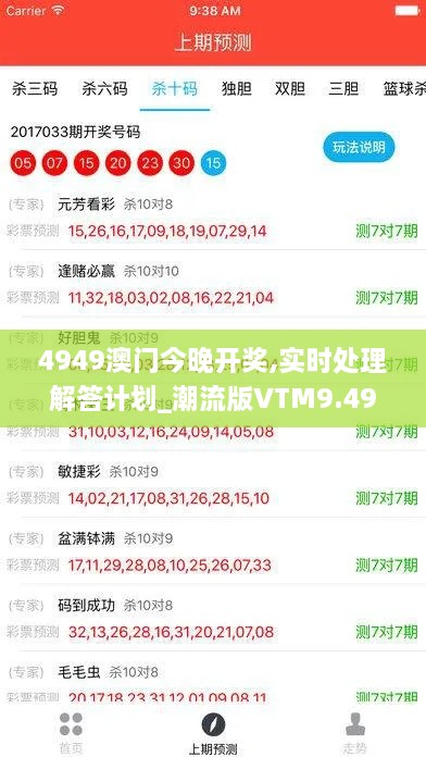 4949澳门今晚开奖,实时处理解答计划_潮流版VTM9.49