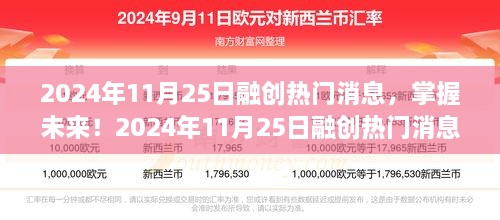 2024年11月25日融创热门消息全解析，从入门到进阶的实用指南