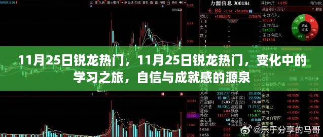 11月25日锐龙热门，变化中的学习之旅，自信与成就感的源泉