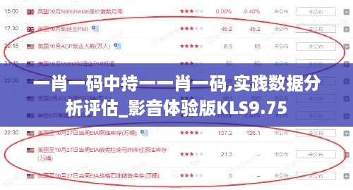 一肖一码中持一一肖一码,实践数据分析评估_影音体验版KLS9.75