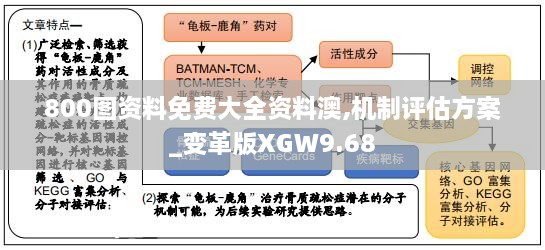 800图资料免费大全资料澳,机制评估方案_变革版XGW9.68