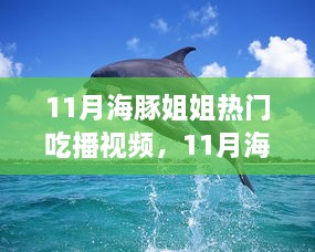 海豚姐姐美食盛宴，触动人心弦的吃播瞬间（11月精选）