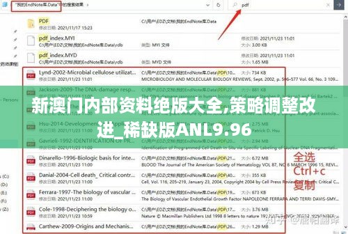 新澳门内部资料绝版大全,策略调整改进_稀缺版ANL9.96