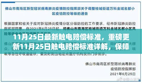 11月25日触电赔偿标准详解，保障权益，最新标准出炉