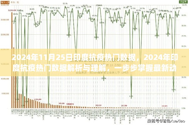 掌握最新动态，2024年印度抗疫热门数据解析与理解