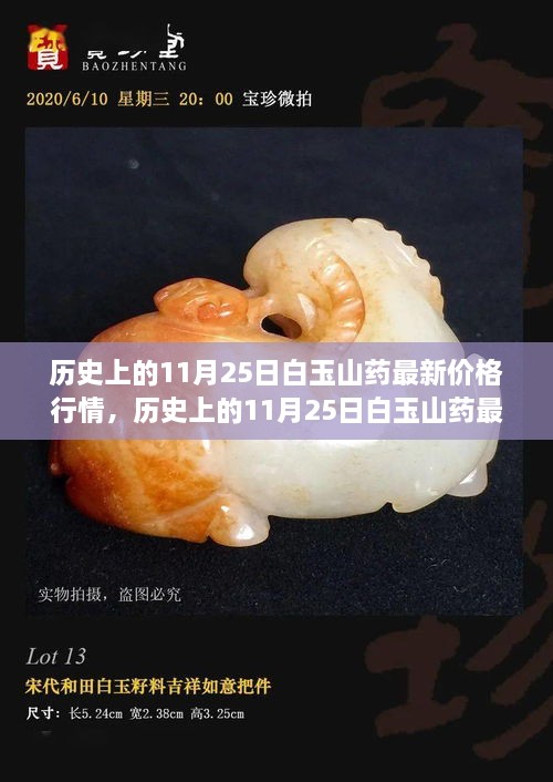 历史上的11月25日白玉山药价格行情与全面评测介绍