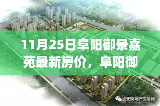 阜阳御景嘉苑隐秘小巷的特色小店与最新房价探秘揭秘日，最新房价动态及特色店铺探秘