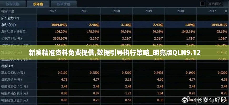 新澳精准资料免费提供,数据引导执行策略_明亮版QLN9.12