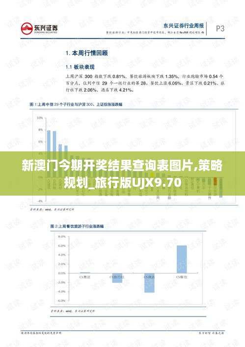 新澳门今期开奖结果查询表图片,策略规划_旅行版UJX9.70