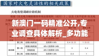 新澳门一码精准公开,专业调查具体解析_多功能版VRL9.33