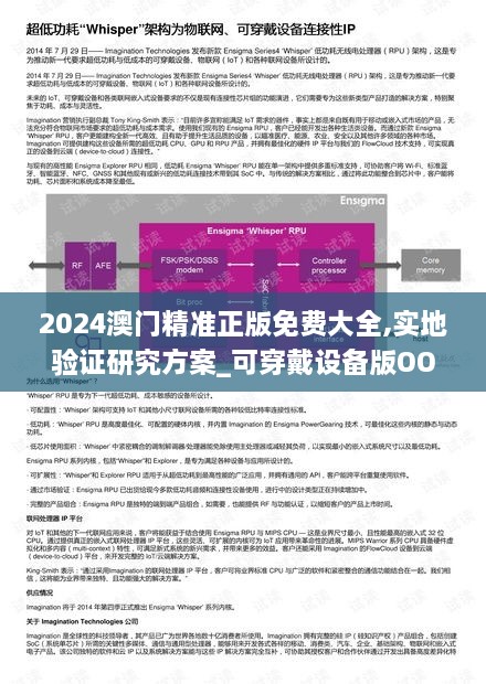 2024澳门精准正版免费大全,实地验证研究方案_可穿戴设备版OOW9.67