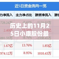 历史上的11月25日小康股份最新公告详解与操作指南