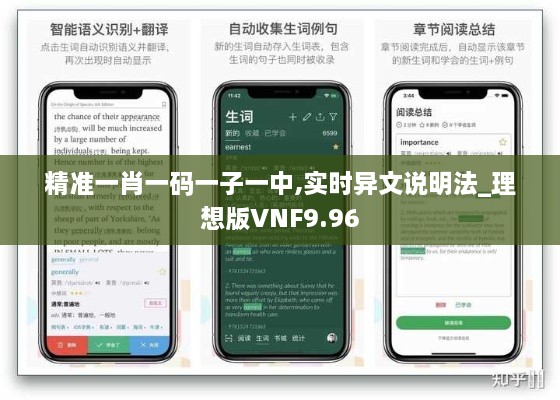 精准一肖一码一子一中,实时异文说明法_理想版VNF9.96