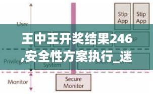 王中王开奖结果246,安全性方案执行_迷你版DBR9.68