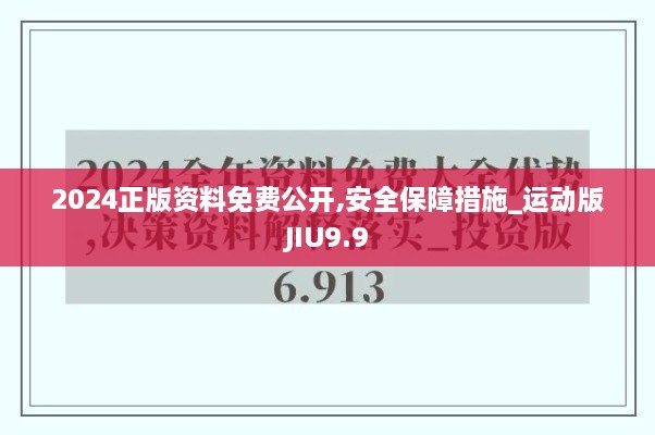 2024正版资料免费公开,安全保障措施_运动版JIU9.9