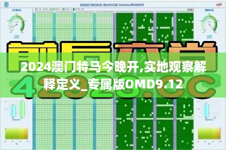 2024澳门特马今晚开,实地观察解释定义_专属版OMD9.12