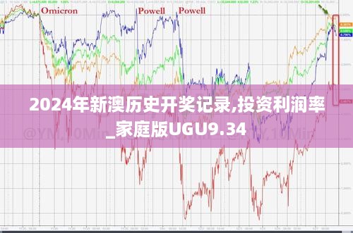 2024年新澳历史开奖记录,投资利润率_家庭版UGU9.34