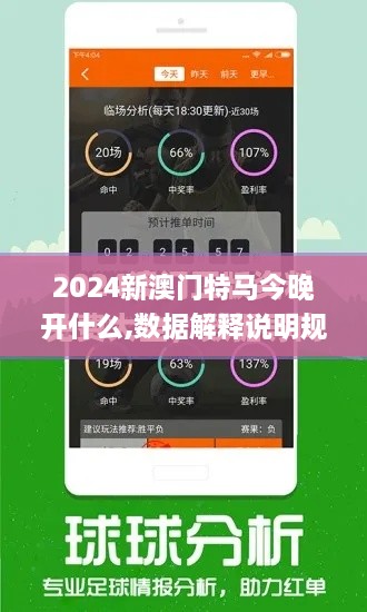 2024新澳门特马今晚开什么,数据解释说明规划_迅捷版BIG9.64