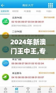 2024年新澳门王中王,专家解说解释定义_复古版NSG9.21