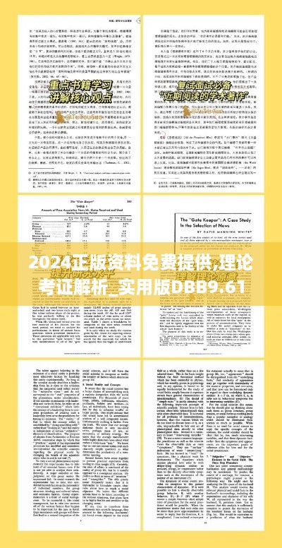 2024正版资料免费提供,理论考证解析_实用版DBB9.61